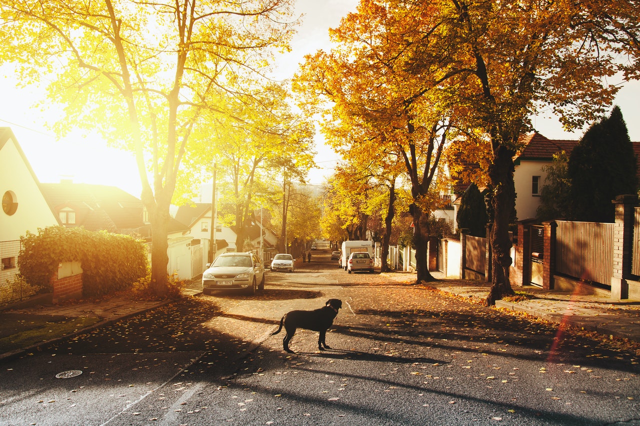 Living in Summerside, PEI: What You Need to Know Before Moving
